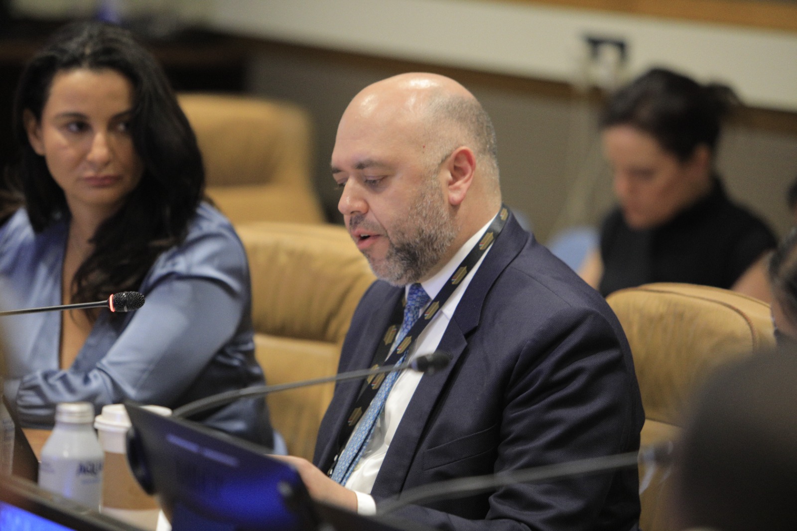 Speaker at UN SDG Action Weekend Roundtable